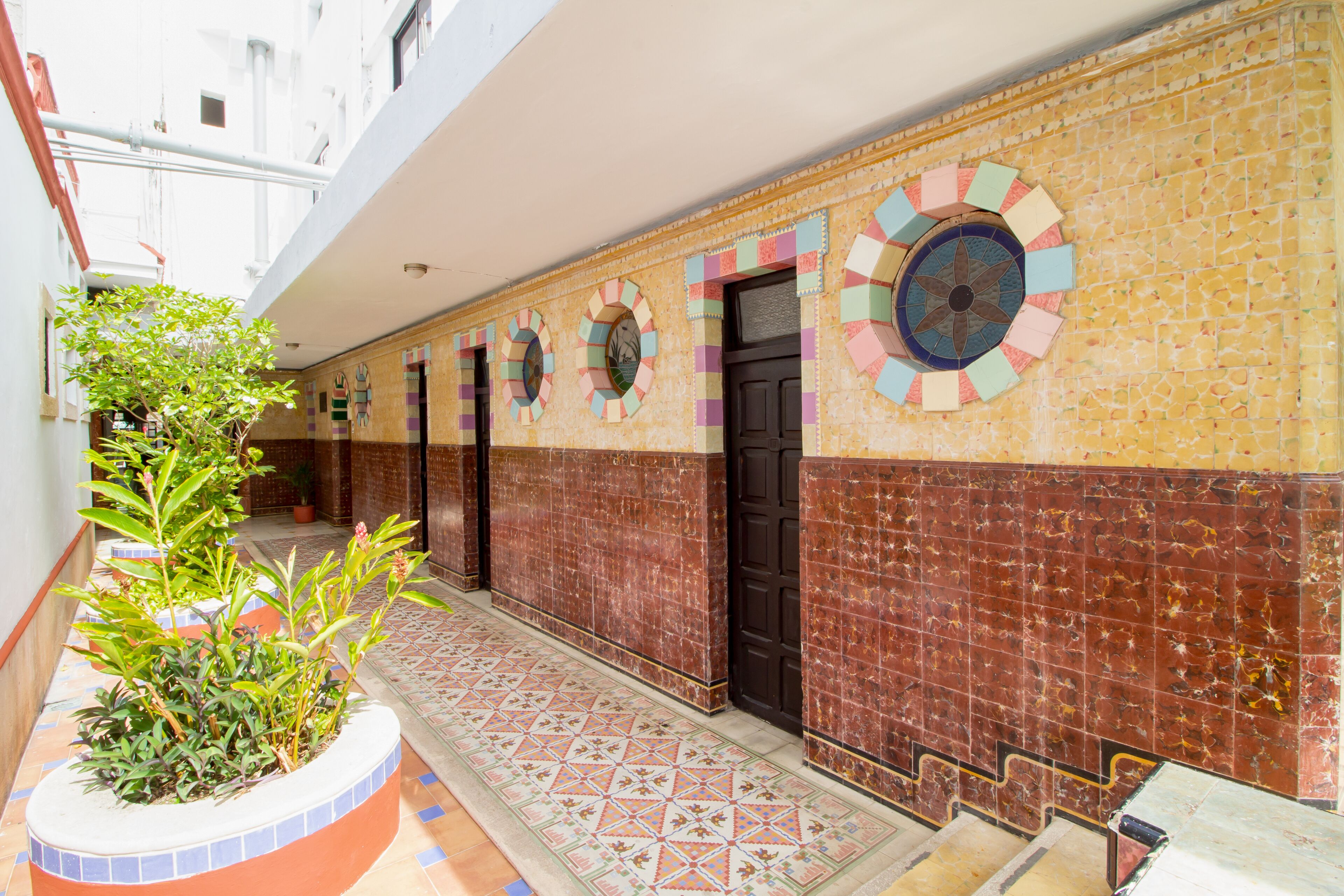 A corridor with patterned tiles, a potted plant, and a door with a circular design.