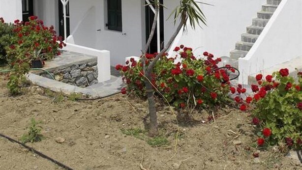 Un edificio blanco con una escalera que conduce a un balcón, rodeado de flores rojas.