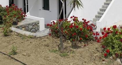 Ibiscus Village Studios