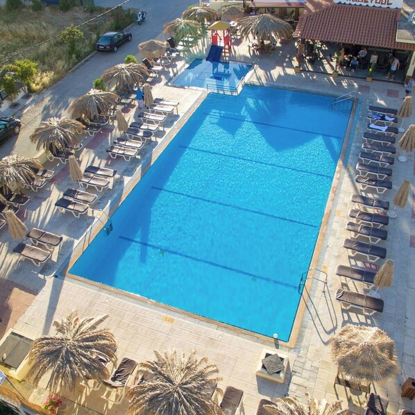 Une piscine rectangulaire entourée de chaises longues et de palmiers.