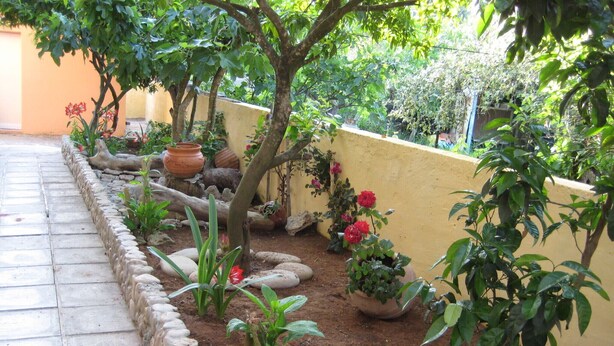 Un jardín con diversas plantas, un borde de piedra y una pared amarilla.