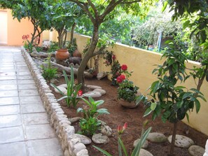 Property grounds - Makis Louvlis Luxury Apartments (Corfu)