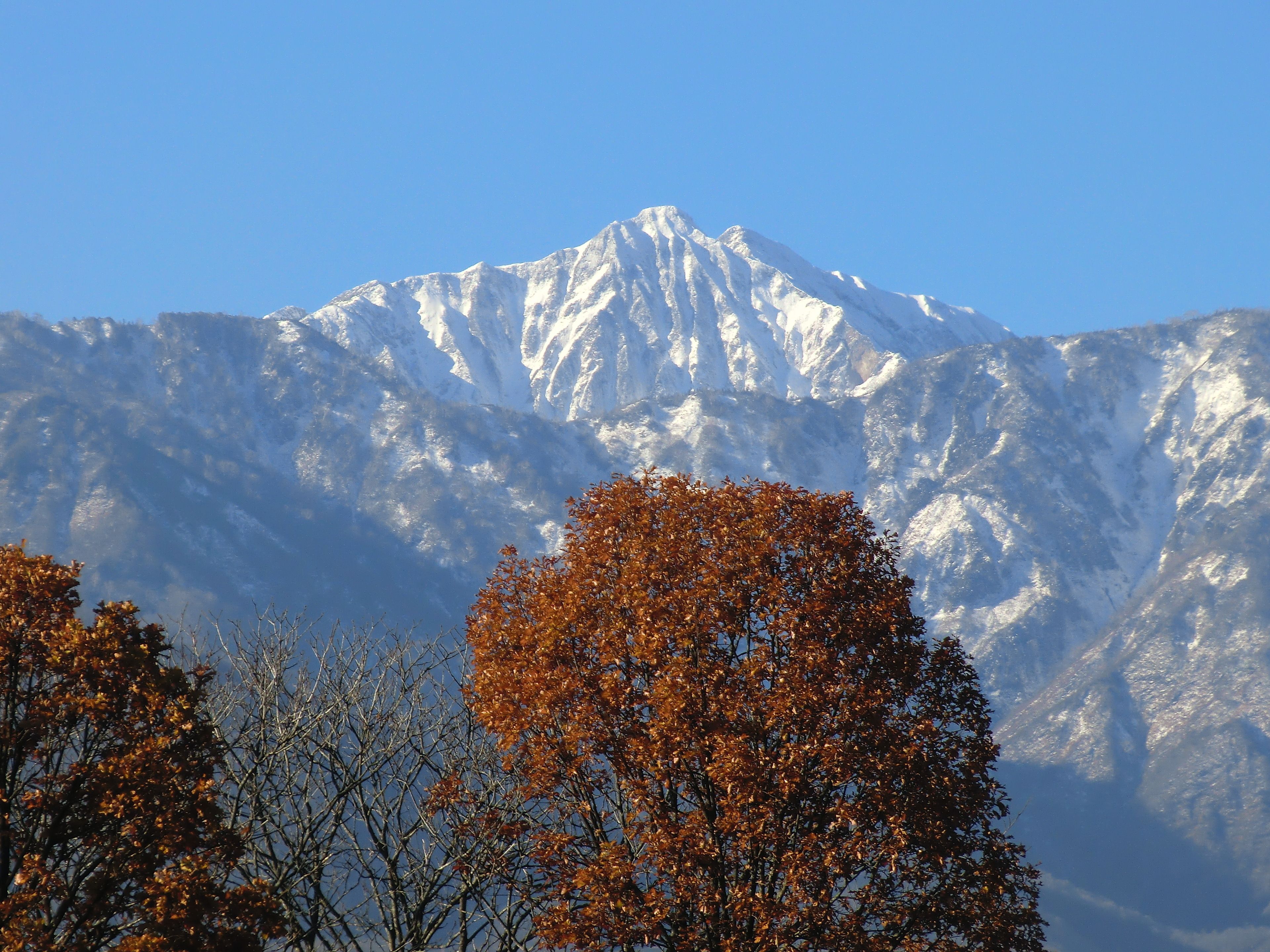A snow-capped mountain with autumn-colored trees in the foreground.