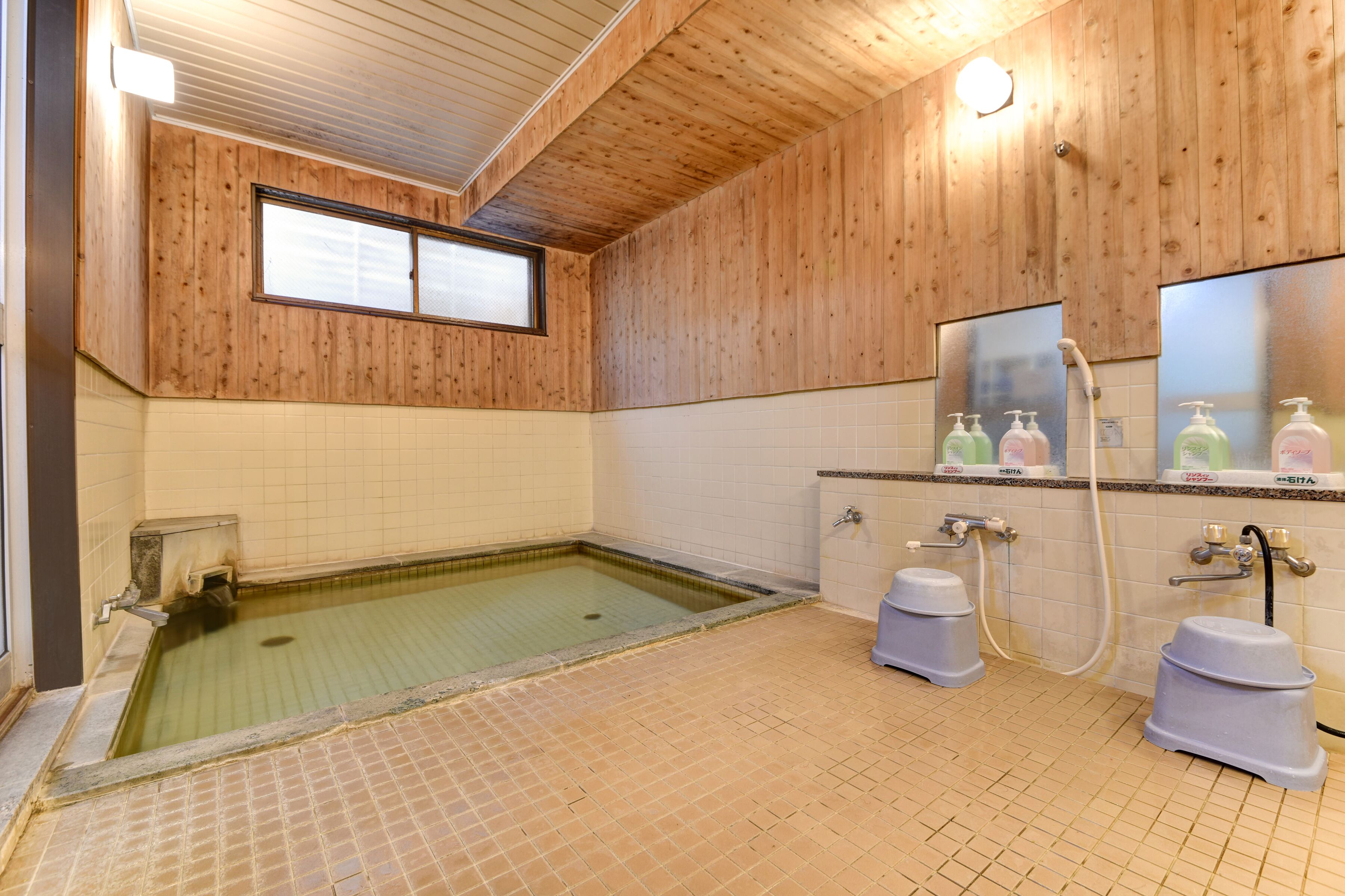 Un baño con paneles de madera, una pequeña piscina, un ventanal y un lavabo con dispensadores de jabón.