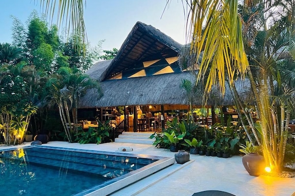 Outdoor pool, sun loungers