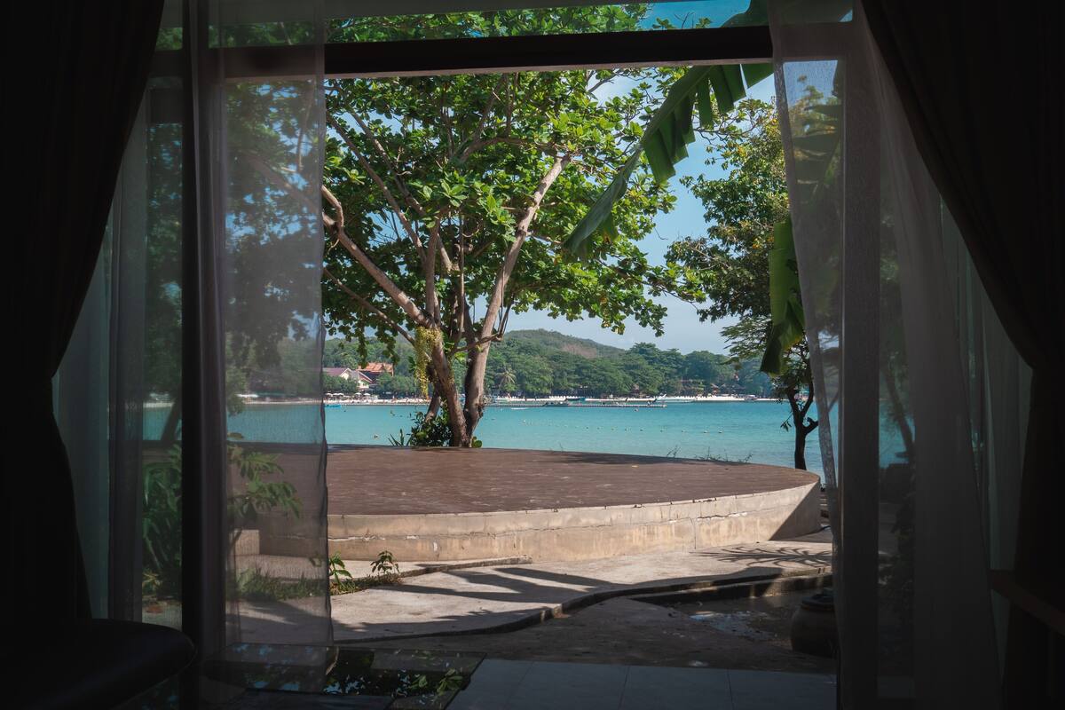 A view through a window with a tree and a body of water.
