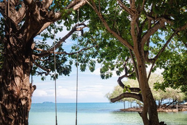 Beach Front Villa | View from room