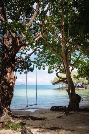 A beach with a large tree, a swing, and calm water. - The C Samet Beach Resort (Rayong)