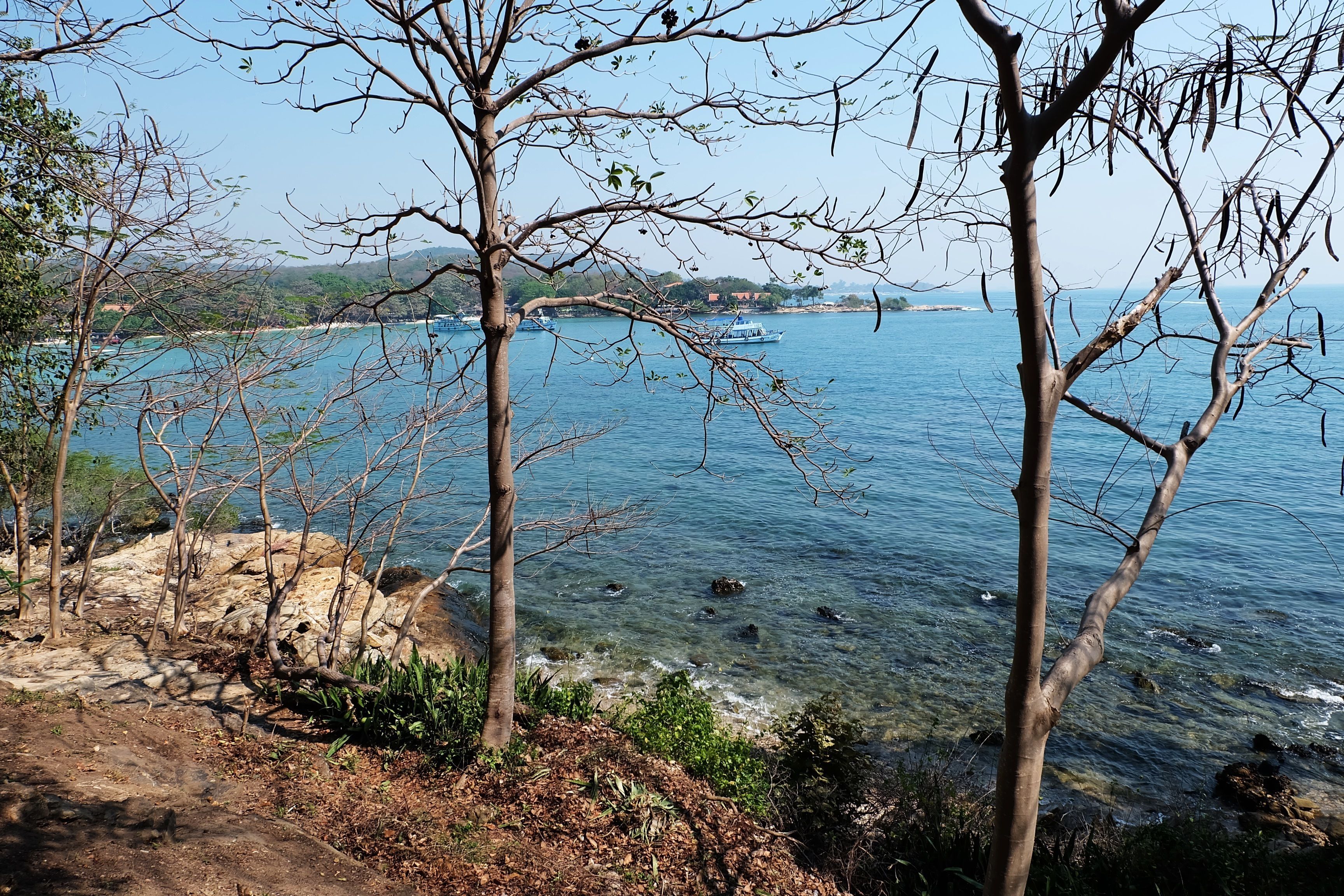 Beach/ocean view