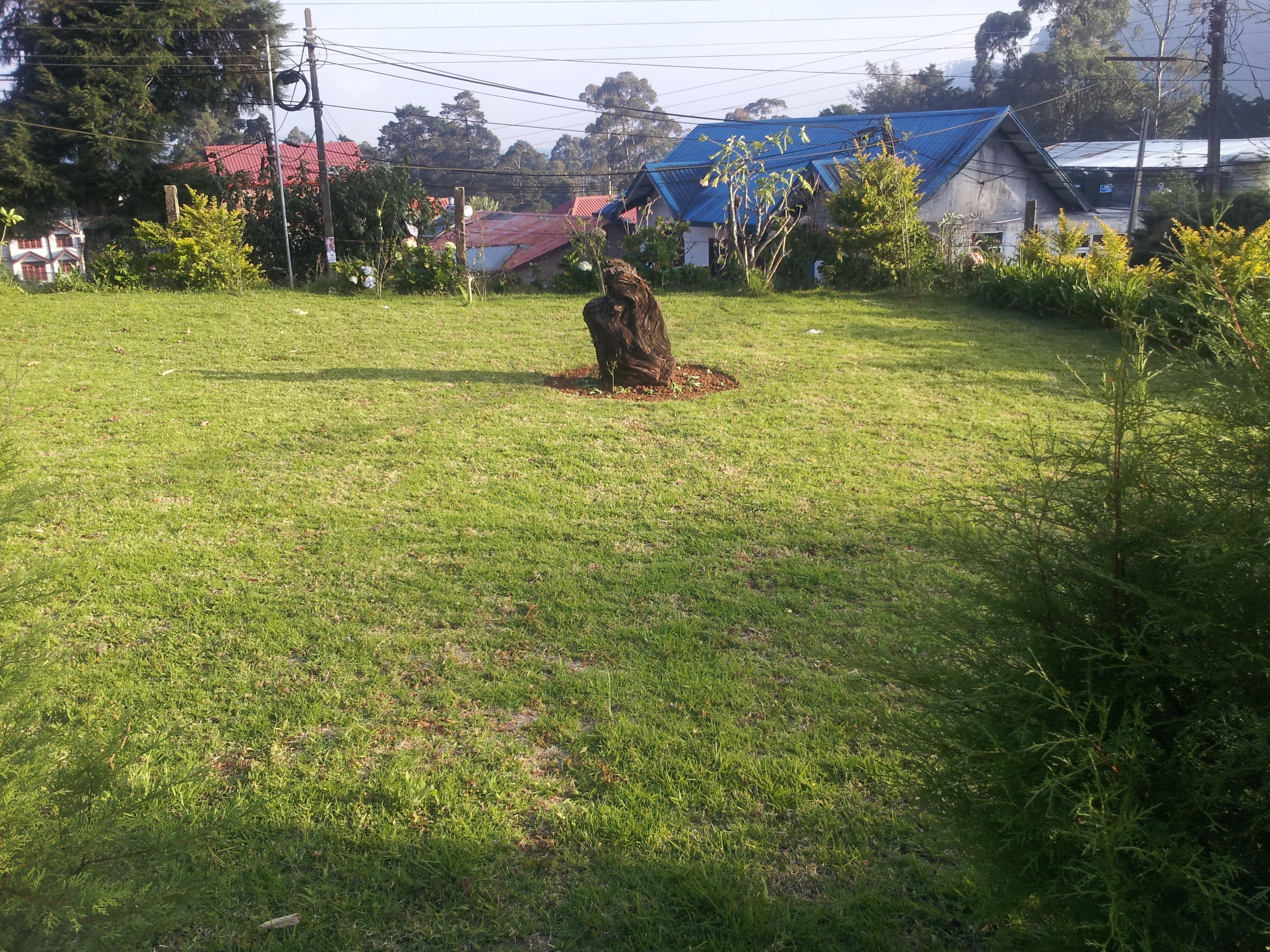 A grassy outdoor area with a statue in the center, surrounded by trees and buildings with red and blue roofs in the background.