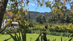 Un jardín con un árbol grande, una zona verde y vistas a un paisaje montañoso al fondo.