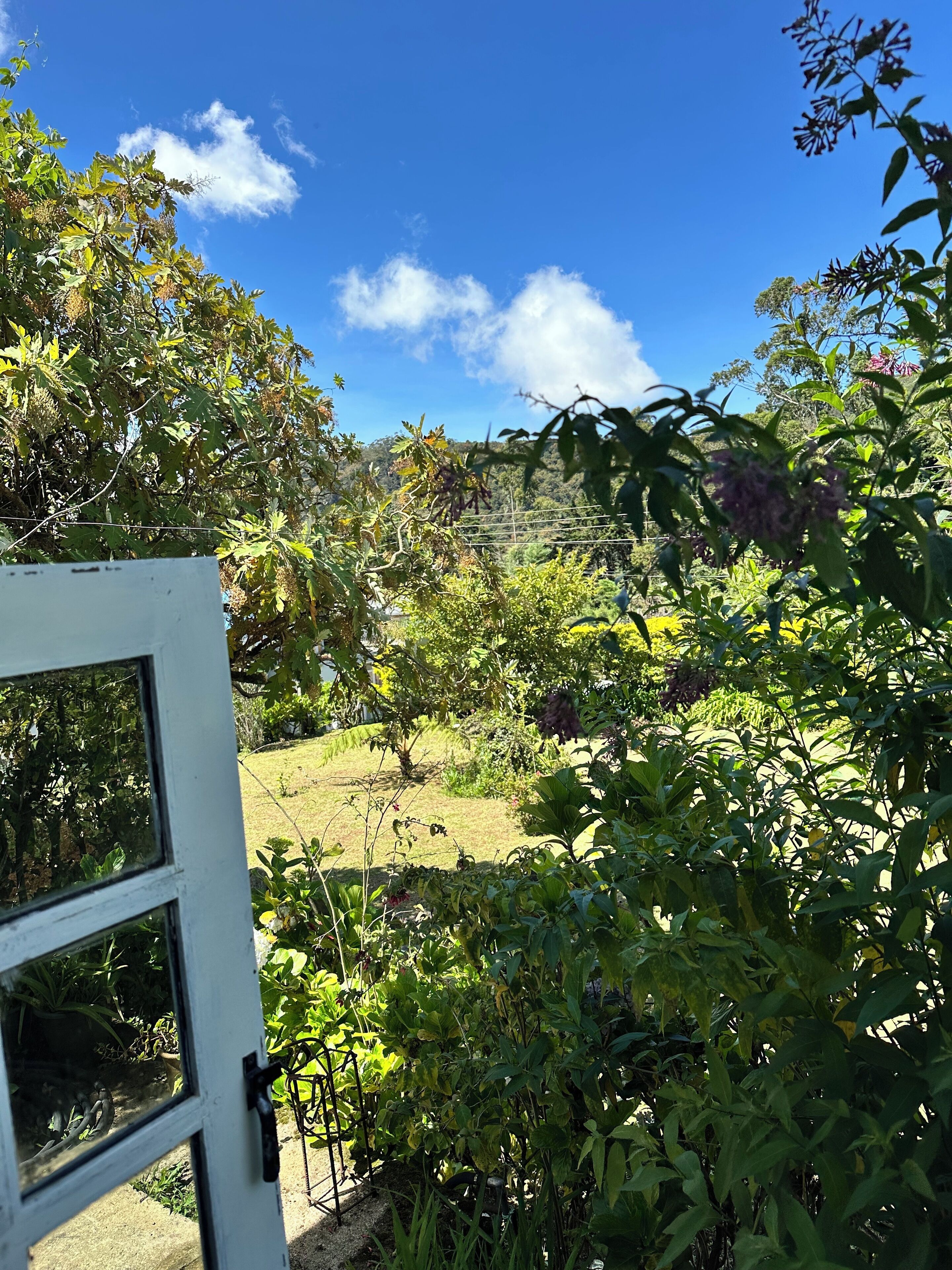 Economy Room, 1 Queen Bed, Private Bathroom, Ground Floor | Egyptian cotton sheets, premium bedding, Select Comfort beds