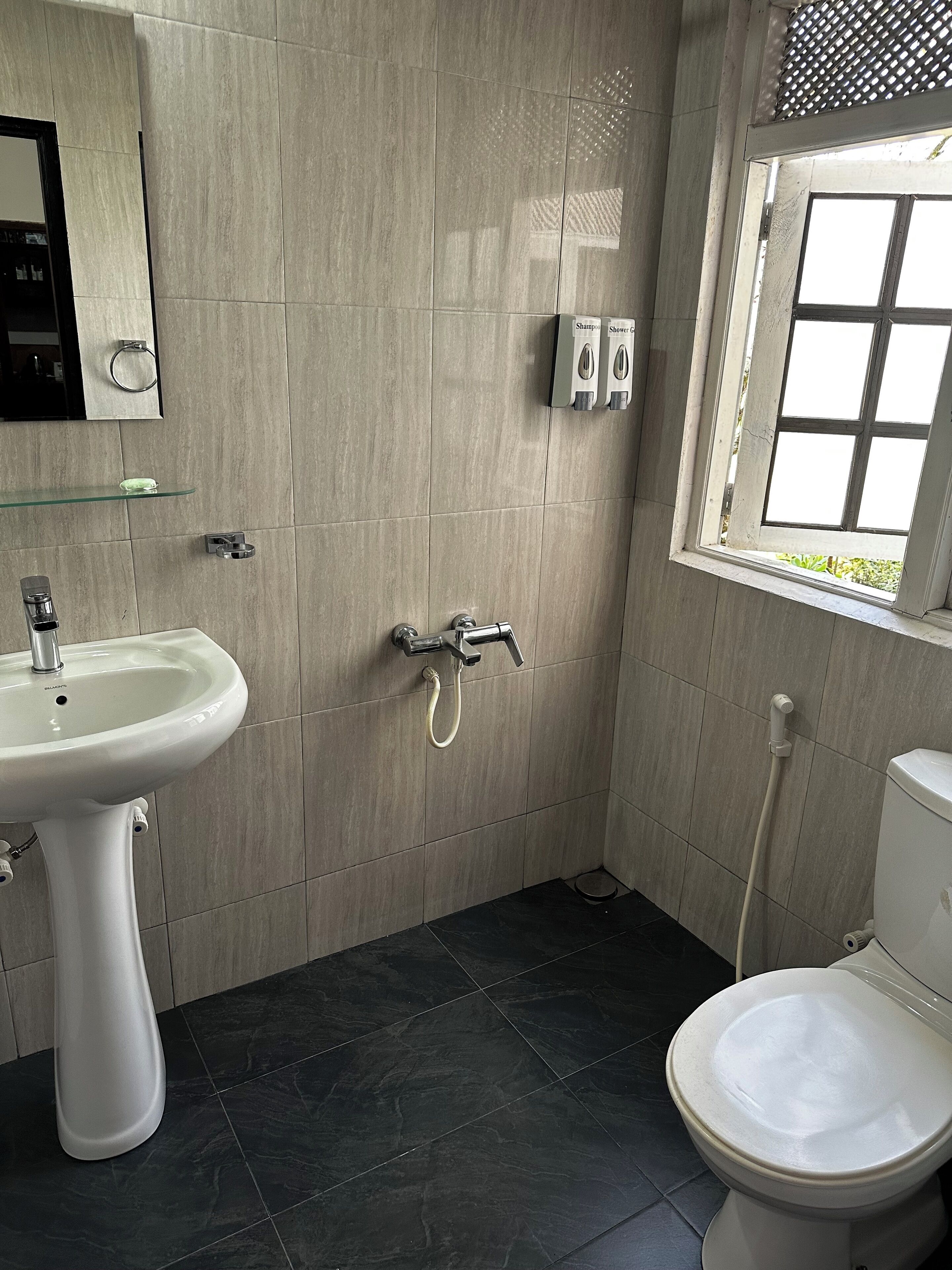 A bathroom with a white sink, a toilet, and a shower.