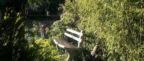 Jardin