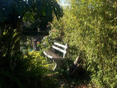 Andrews Hostel