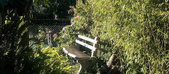 Andrews Hostel