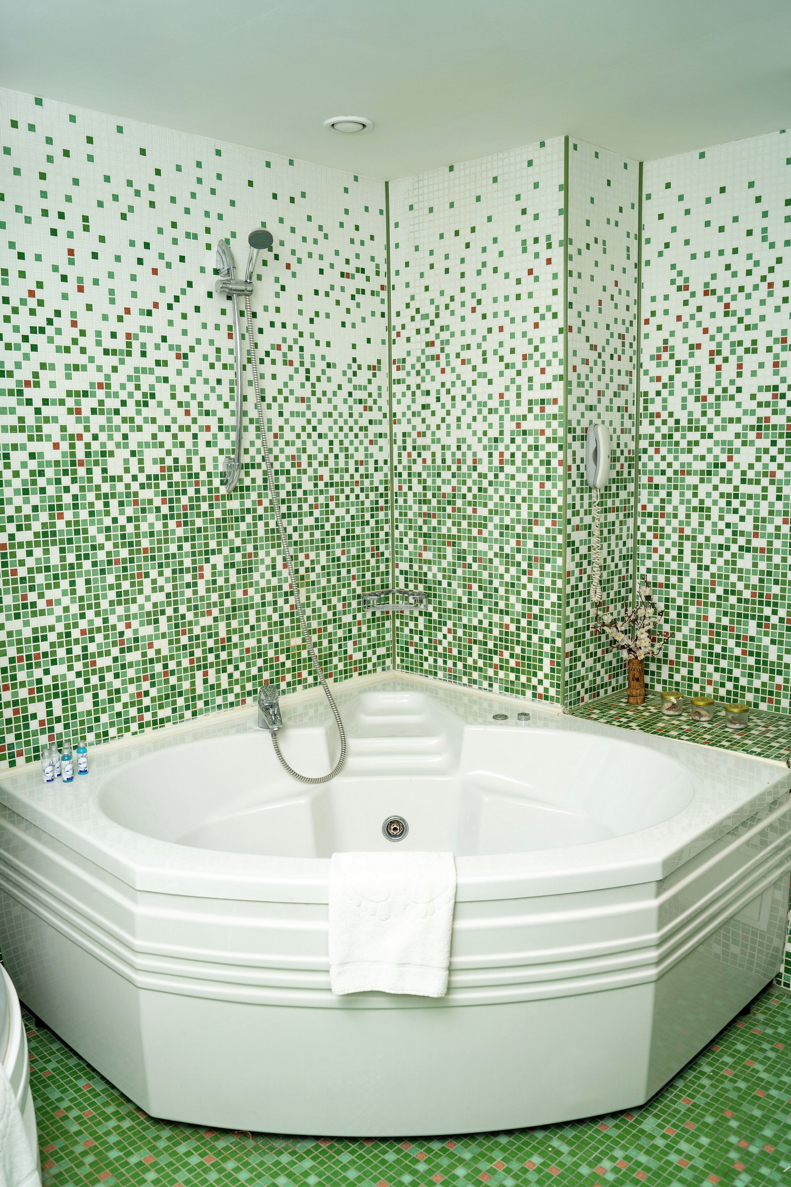 Een badkamer met een groot, wit bad, een douche en een betegelde muur met een mozaïekpatroon in groen en rood.