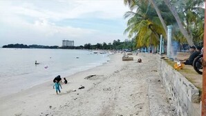 Una playa con arena, palmeras y un edificio a lo lejos.