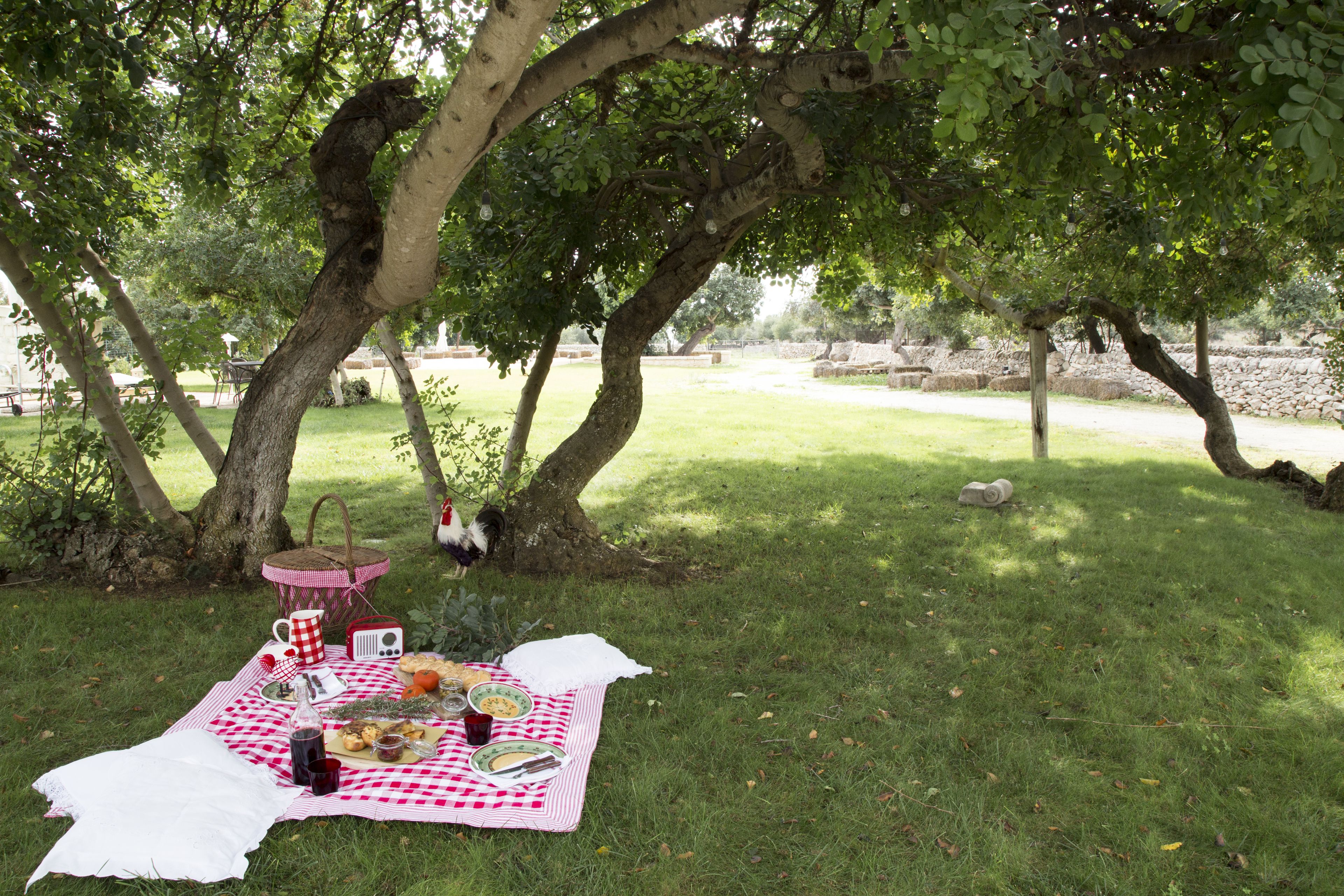 Un montaje para picnic bajo un árbol, con una manta a cuadros, comida y utensilios.