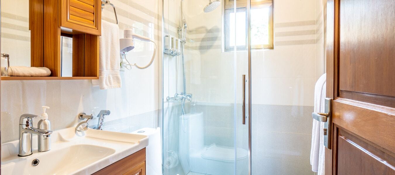 shower, free toiletries, hair dryer, towels