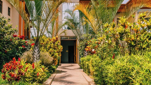 Un sendero conduce a un edificio de diseño moderno, rodeado de exuberante vegetación y plantas tropicales.