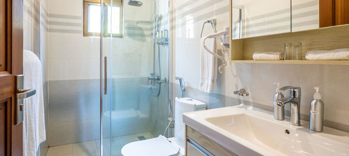 shower, free toiletries, hair dryer, towels