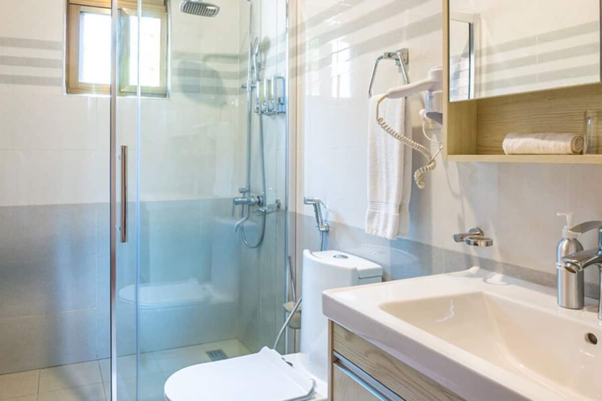 shower, free toiletries, hair dryer, towels