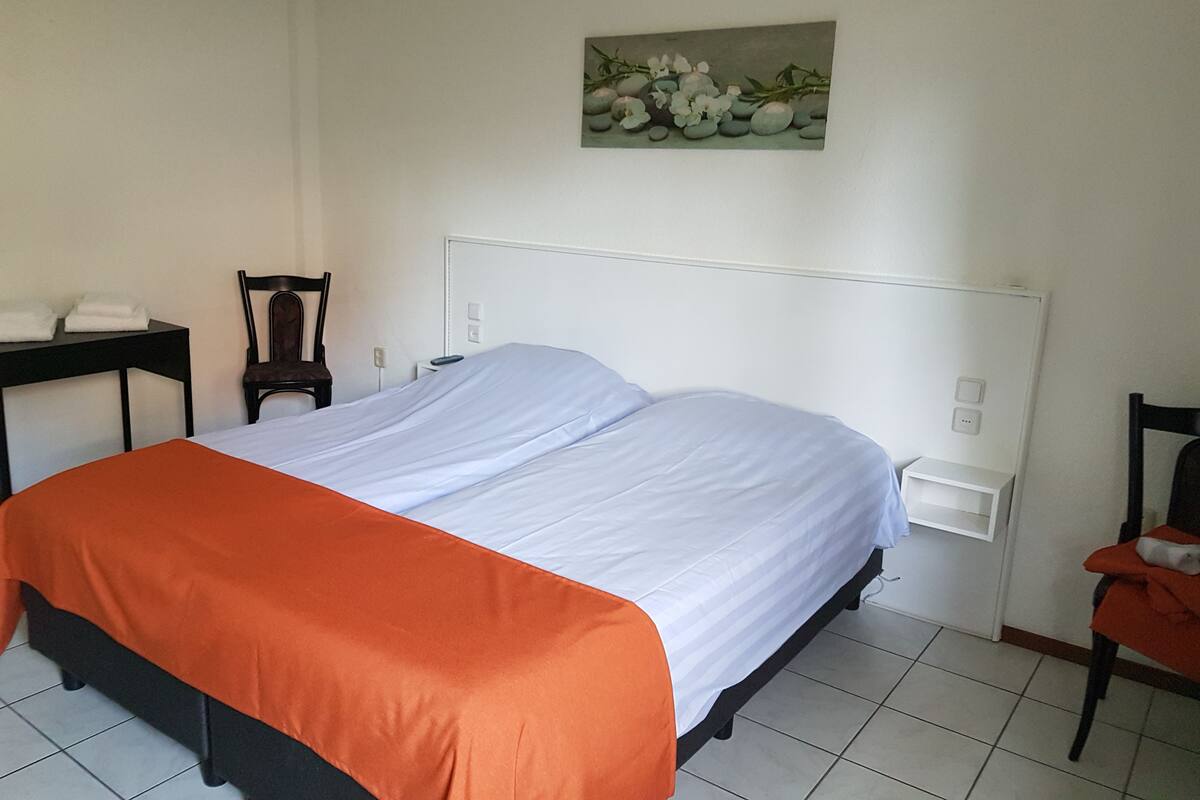Standard Double or Twin Room | Desk, blackout curtains, free WiFi, bed sheets