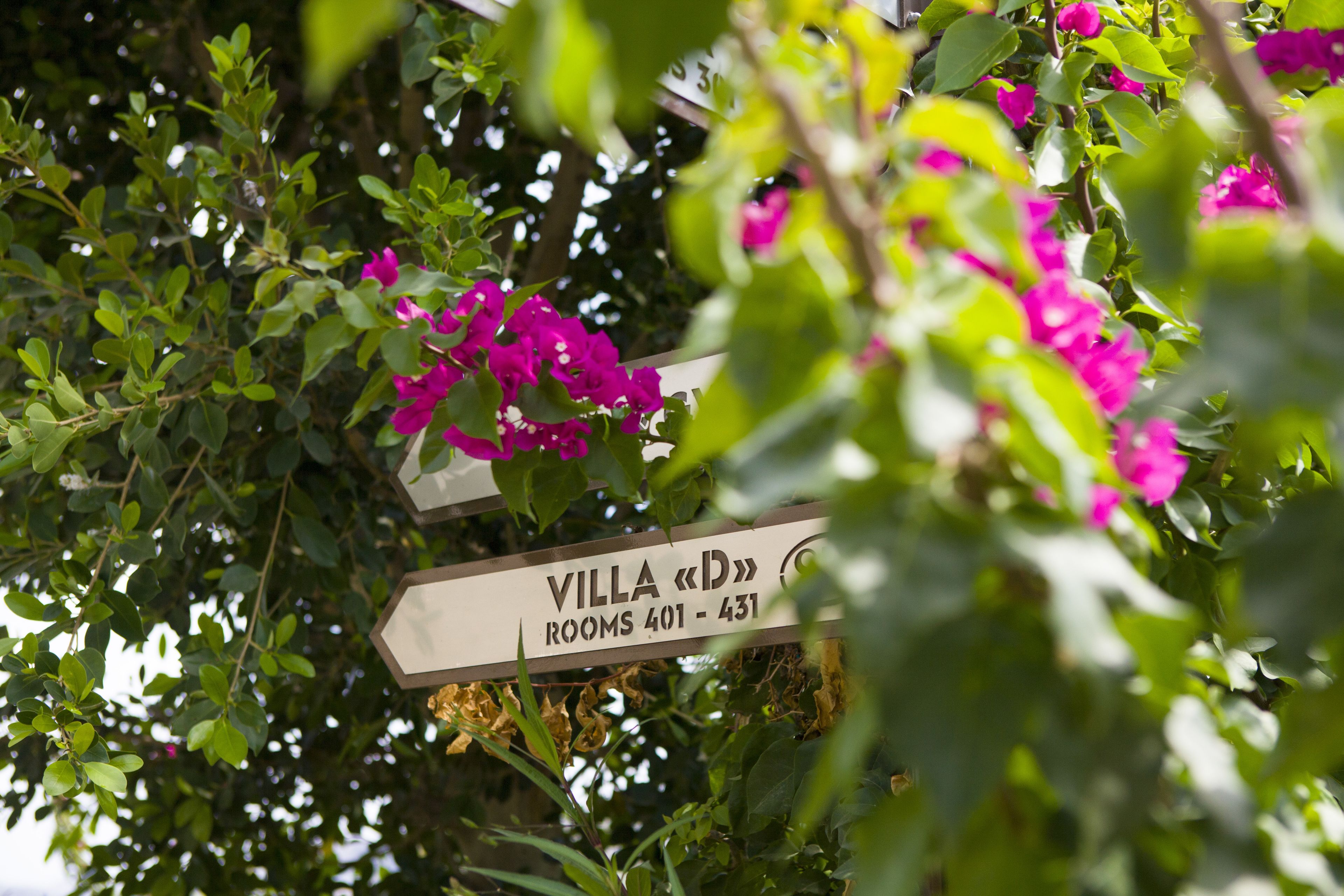 Jardín