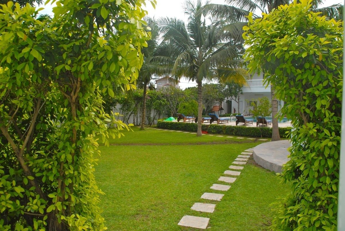 Puutarha