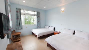 A bedroom with two beds, a wooden table, a TV, and a window with curtains.