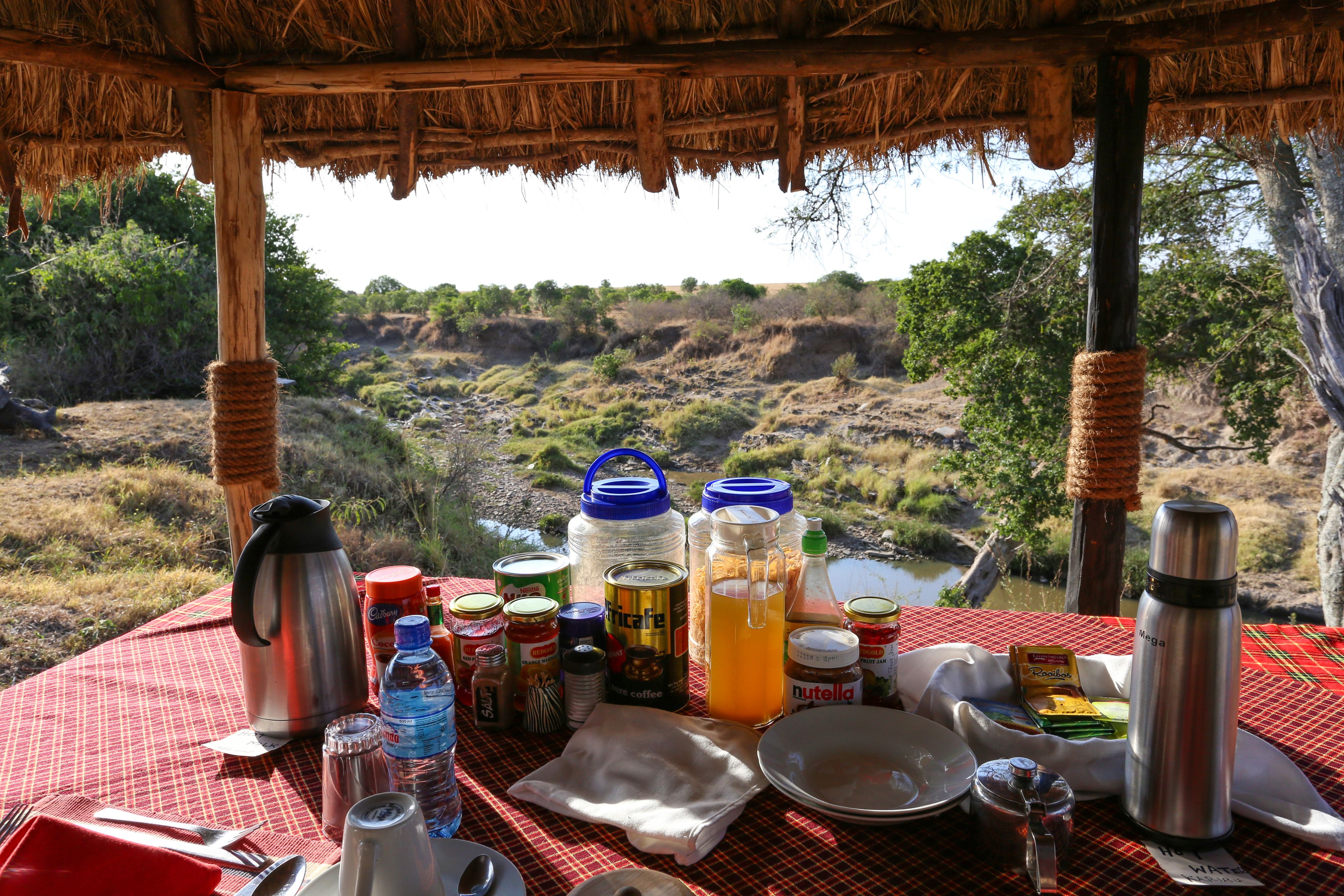 A table set outdoors with various food and drink items, a thermos, and a view of a natural landscape.