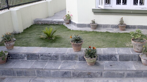 A courtyard with a small lawn and multiple potted plants arranged on stone steps. - Kathmandu Homestay (Kathmandu)