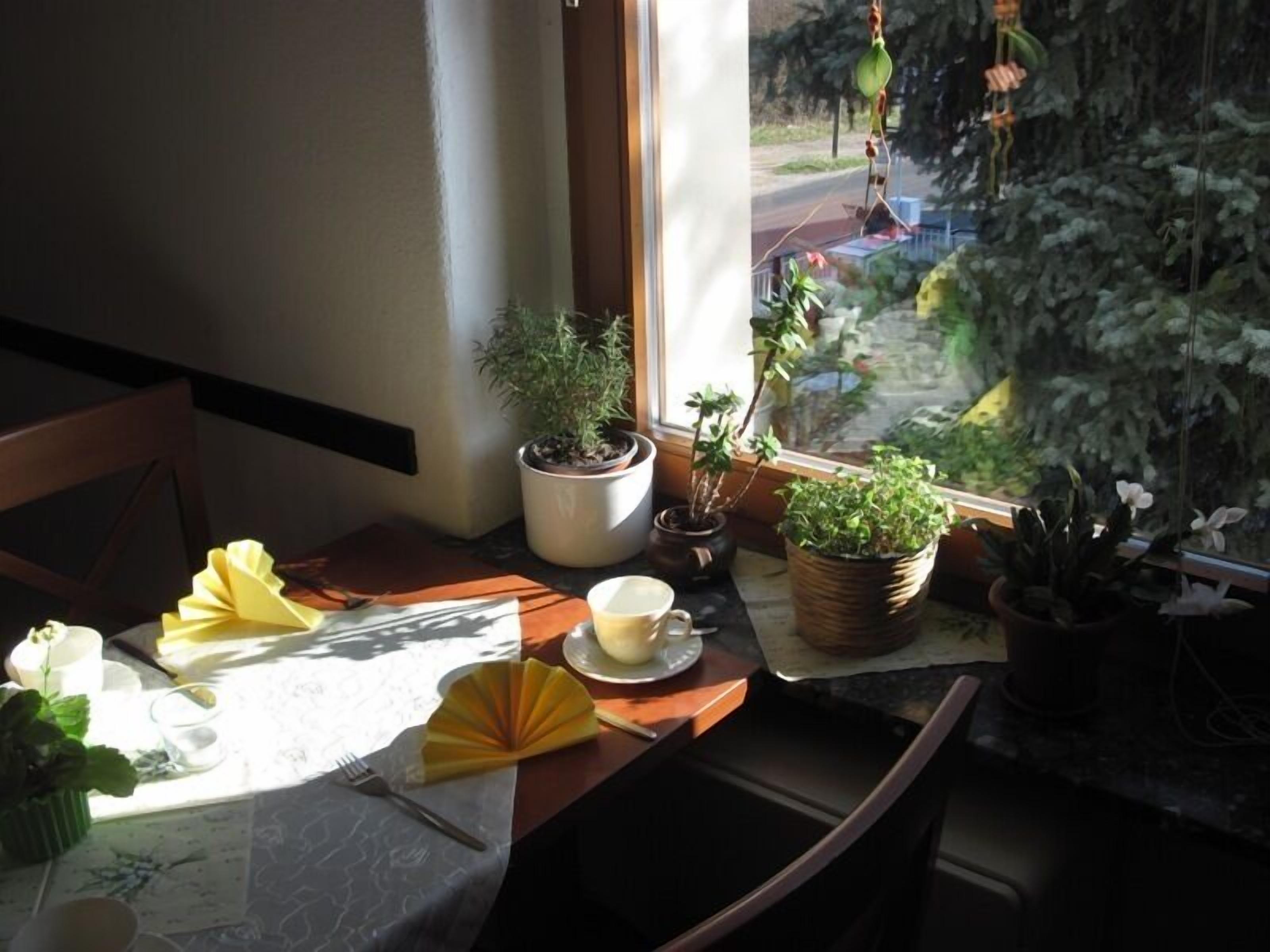 Photo - Dresdner Höhe