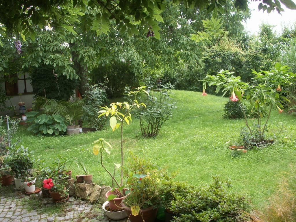 Photo - Dresdner Höhe