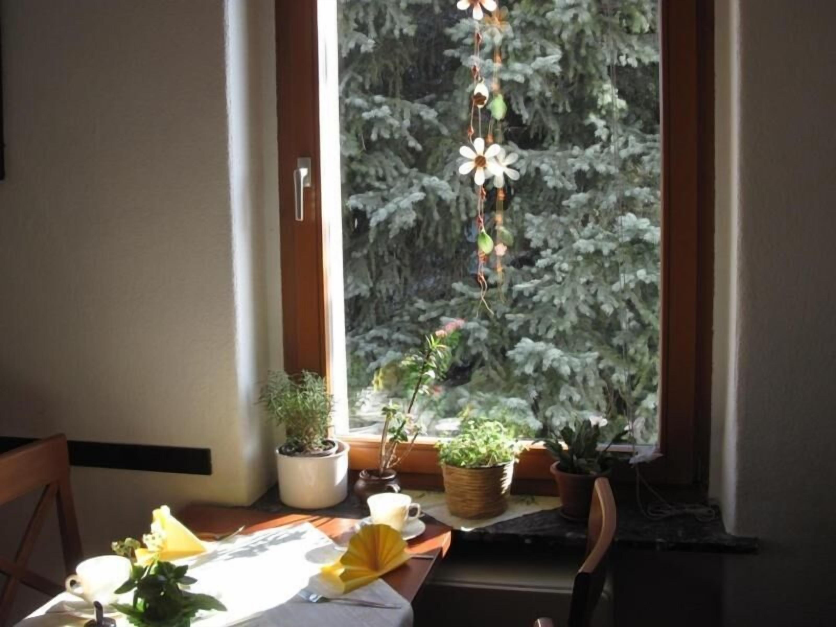 Photo - Dresdner Höhe