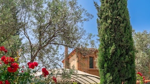 Un jardín con plantas en macetas y un alto árbol de hoja perenne.