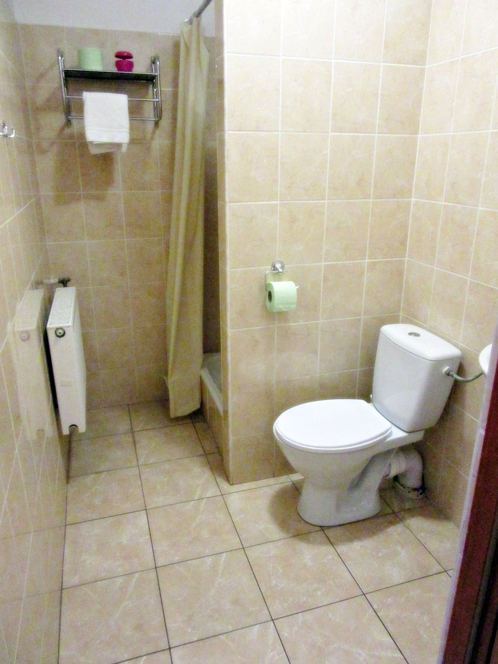 economy twin room | bathroom | shower, hair dryer, towels