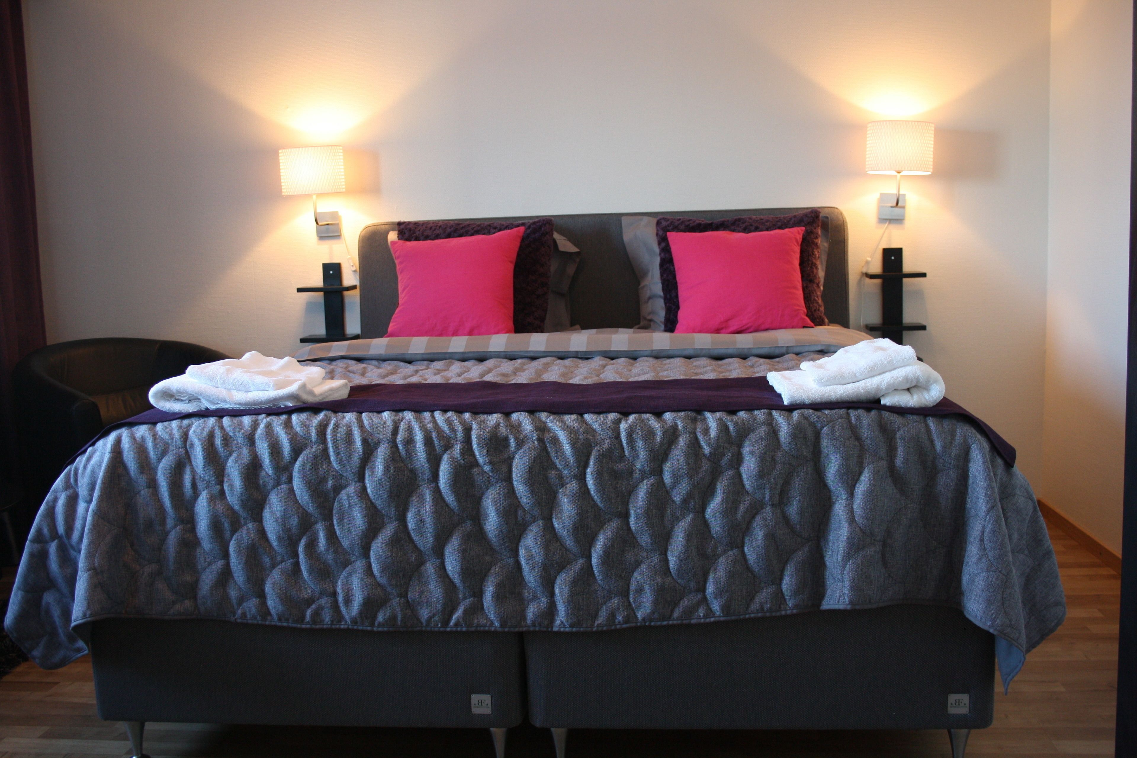 Double or Twin Room | Desk, blackout curtains, iron/ironing board, free WiFi