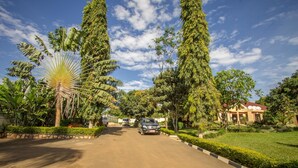 A paved driveway leading to a building with a red roof, surrounded by lush greenery and tall trees.