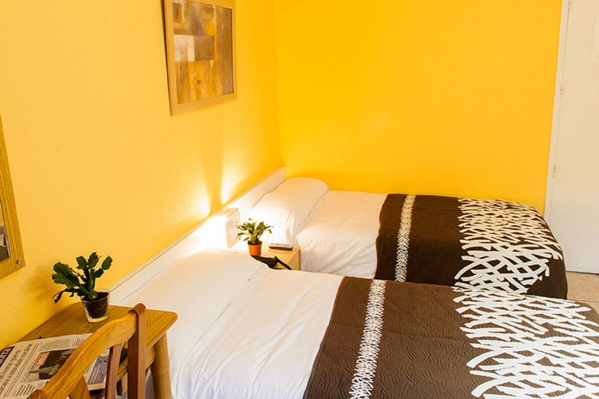 A small, brightly lit room with two beds, a small table with a plant, and a framed picture on the wall.