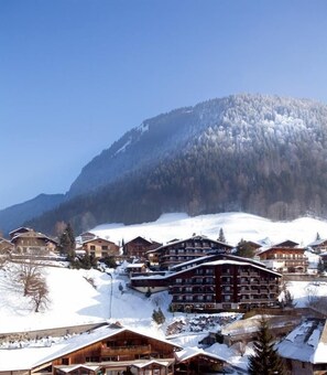 Exterior - Le Petit Dru (Morzine)