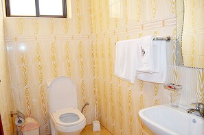 Shower, free toiletries, hair dryer, bathrobes