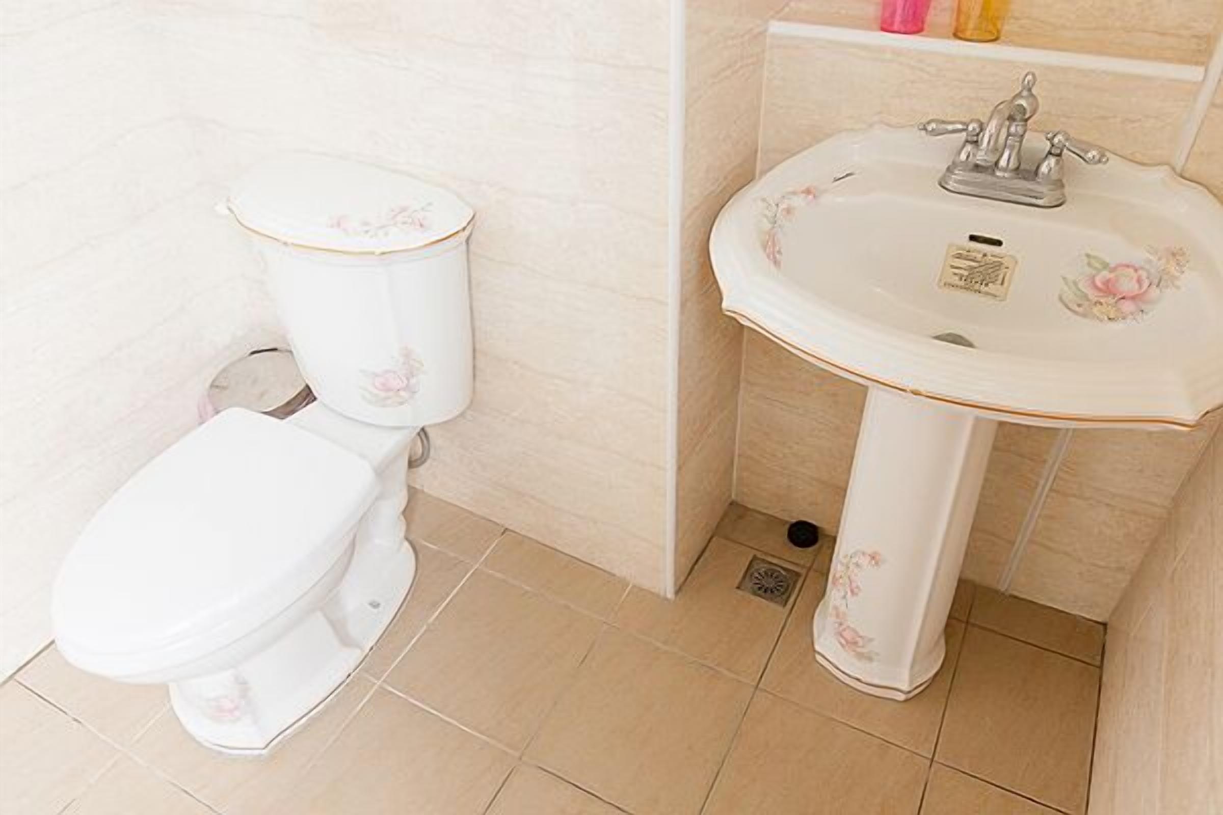 A bathroom with a toilet and a pedestal sink.