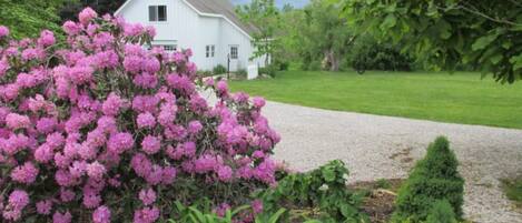 Áreas de la propiedad