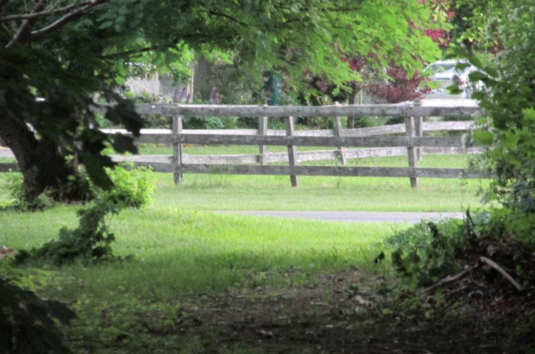 A wooden fence in a grassy area with trees in the background.