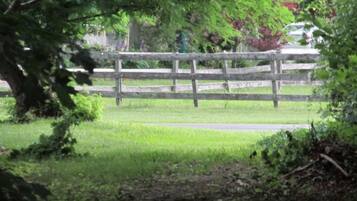 A wooden fence in a grassy area with trees in the background.