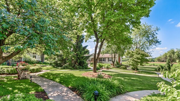A well-maintained garden with a curved pathway, neatly trimmed grass, and various shrubs. - After Eight Bed and Breakfast (Gordonville)