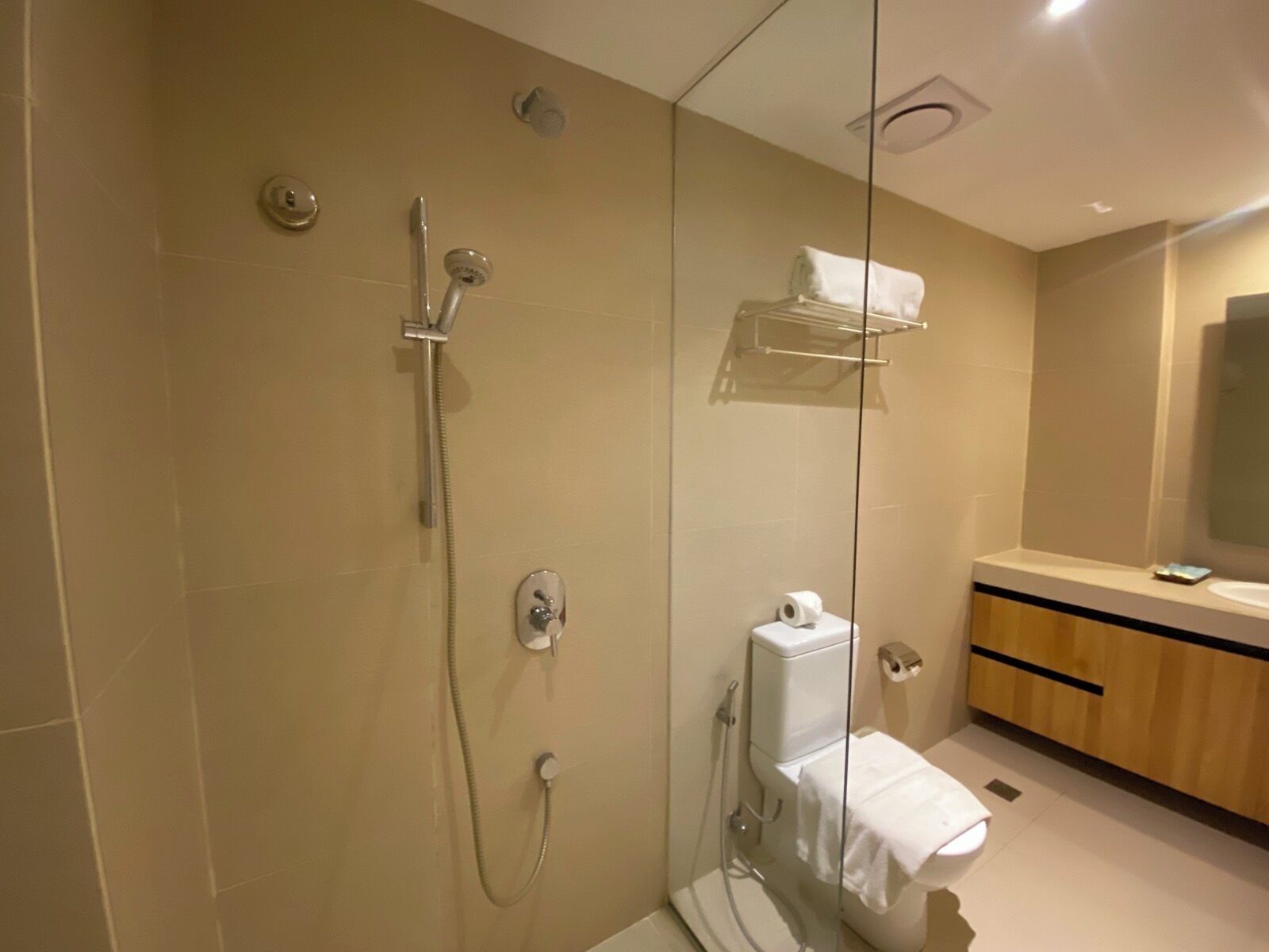 A modern bathroom with a glass-enclosed shower, a toilet, and a vanity with a mirror.