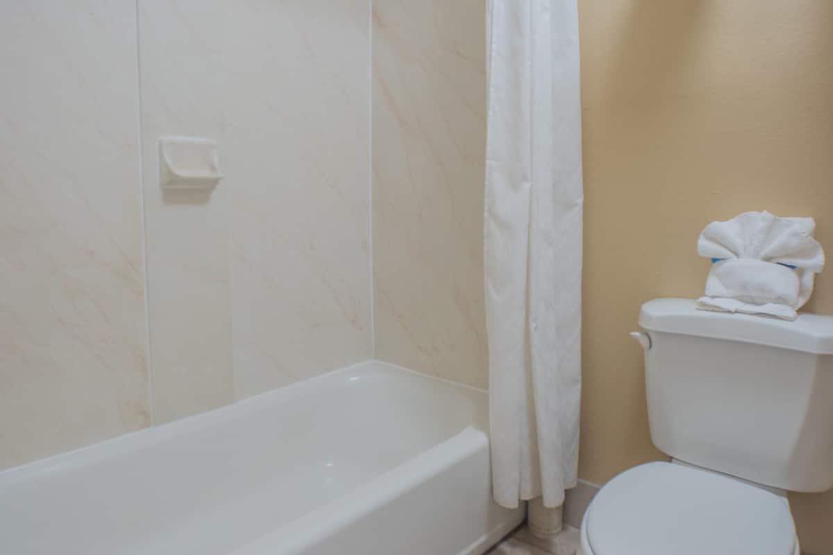 combined shower/bathtub, free toiletries, hair dryer, towels